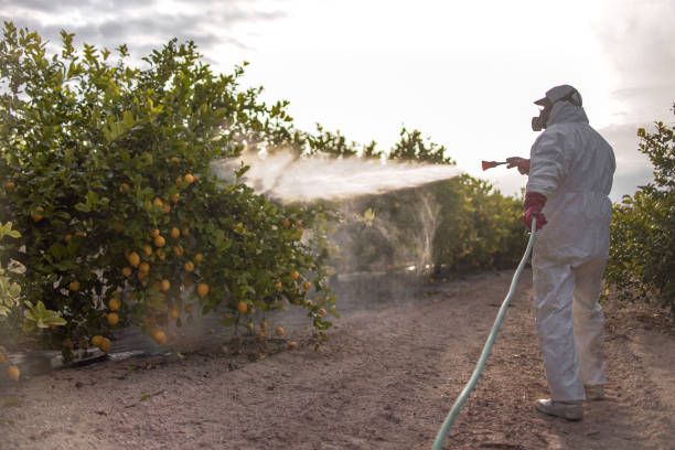 Best Cockroach Control Services  in Kahului, HI