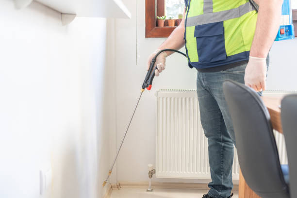 Best Affordable Pest Control Services  in Kahului, HI