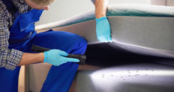 Reliable Kahului, HI Pest Control Solutions
