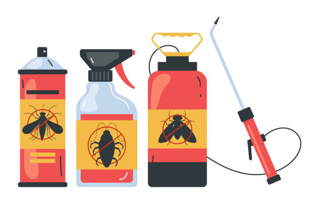Best Wasp Removal Services  in Kahului, HI